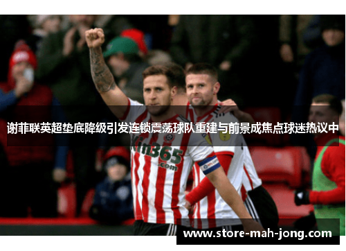 谢菲联英超垫底降级引发连锁震荡球队重建与前景成焦点球迷热议中