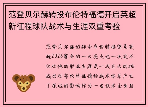 范登贝尔赫转投布伦特福德开启英超新征程球队战术与生涯双重考验
